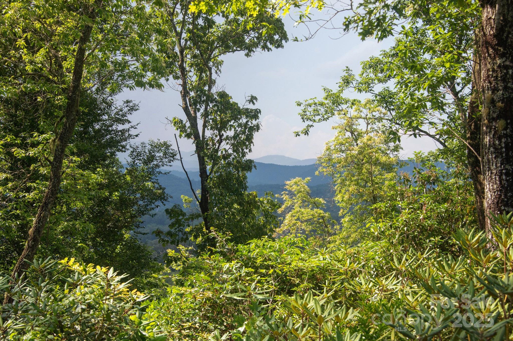 Lot # 7 Masterpiece View Drive