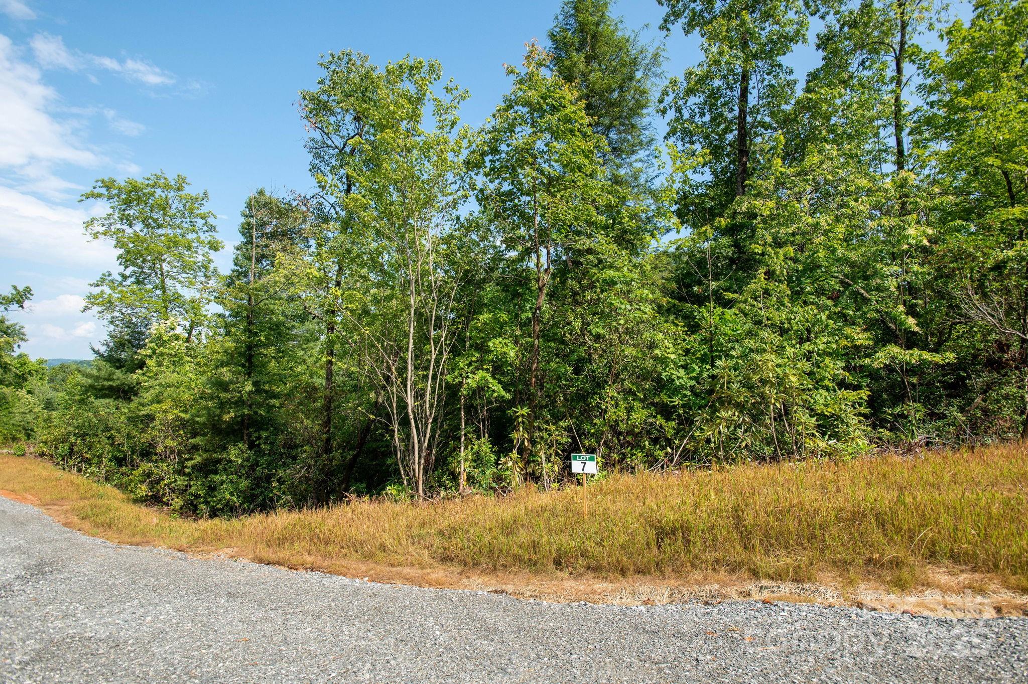 Lot # 7 Masterpiece View Drive