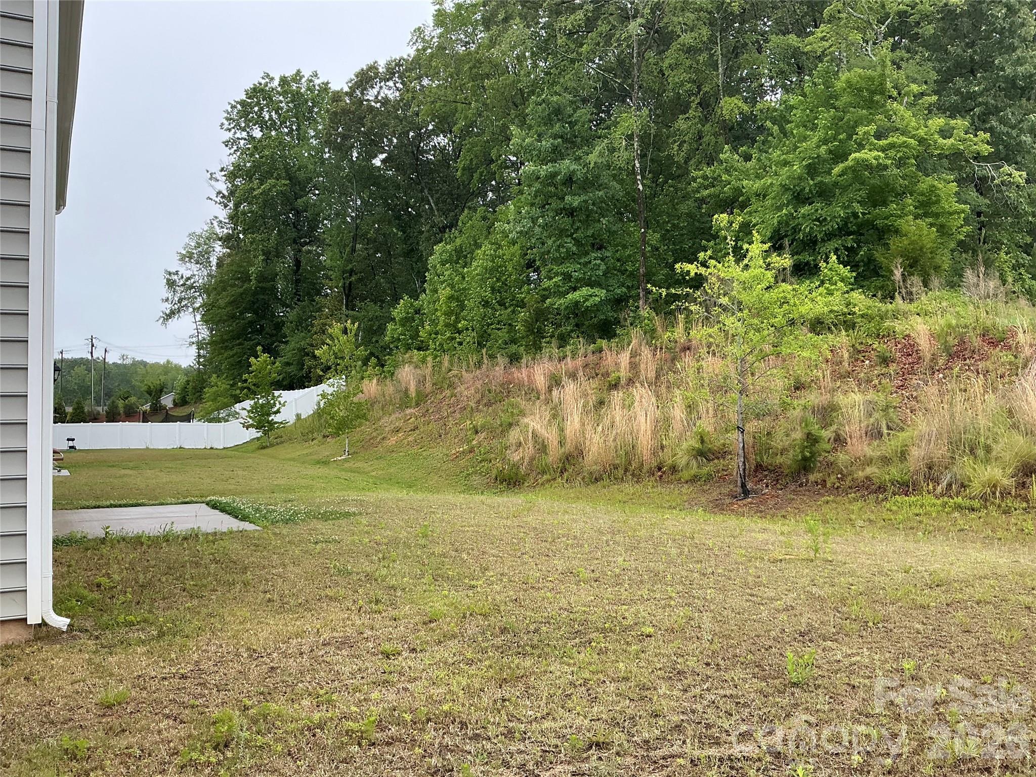 534 Yellow Birch Drive