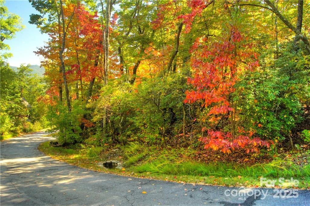 144 Galax Drive T-42