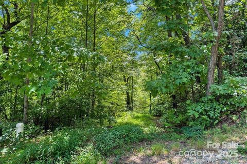 144 Galax Drive T-42 Black Mountain NC 28711