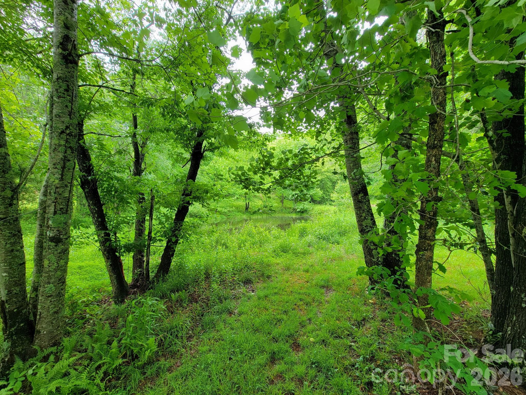 Sweetwater Ridge - Land