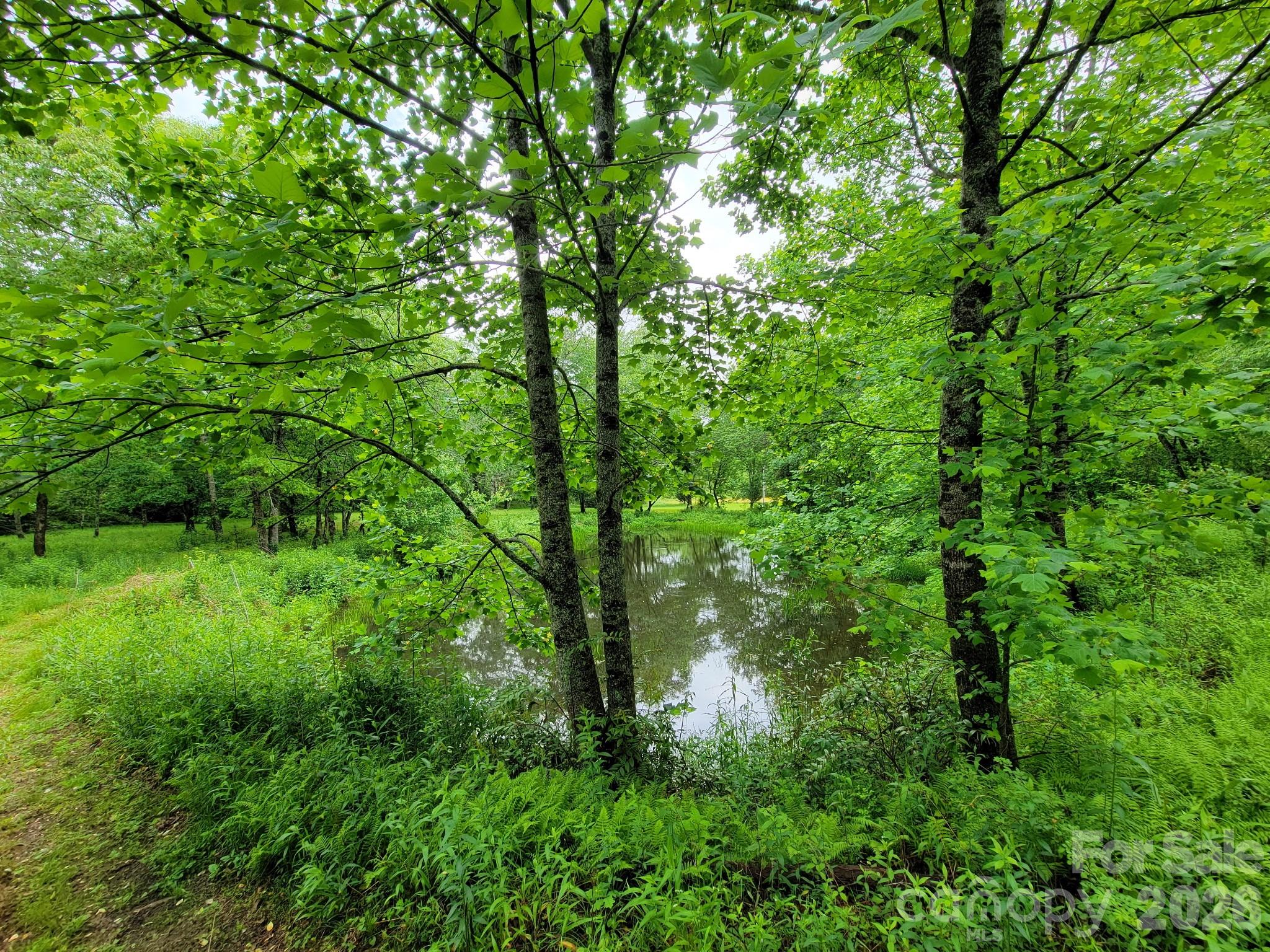 Sweetwater Ridge - Land