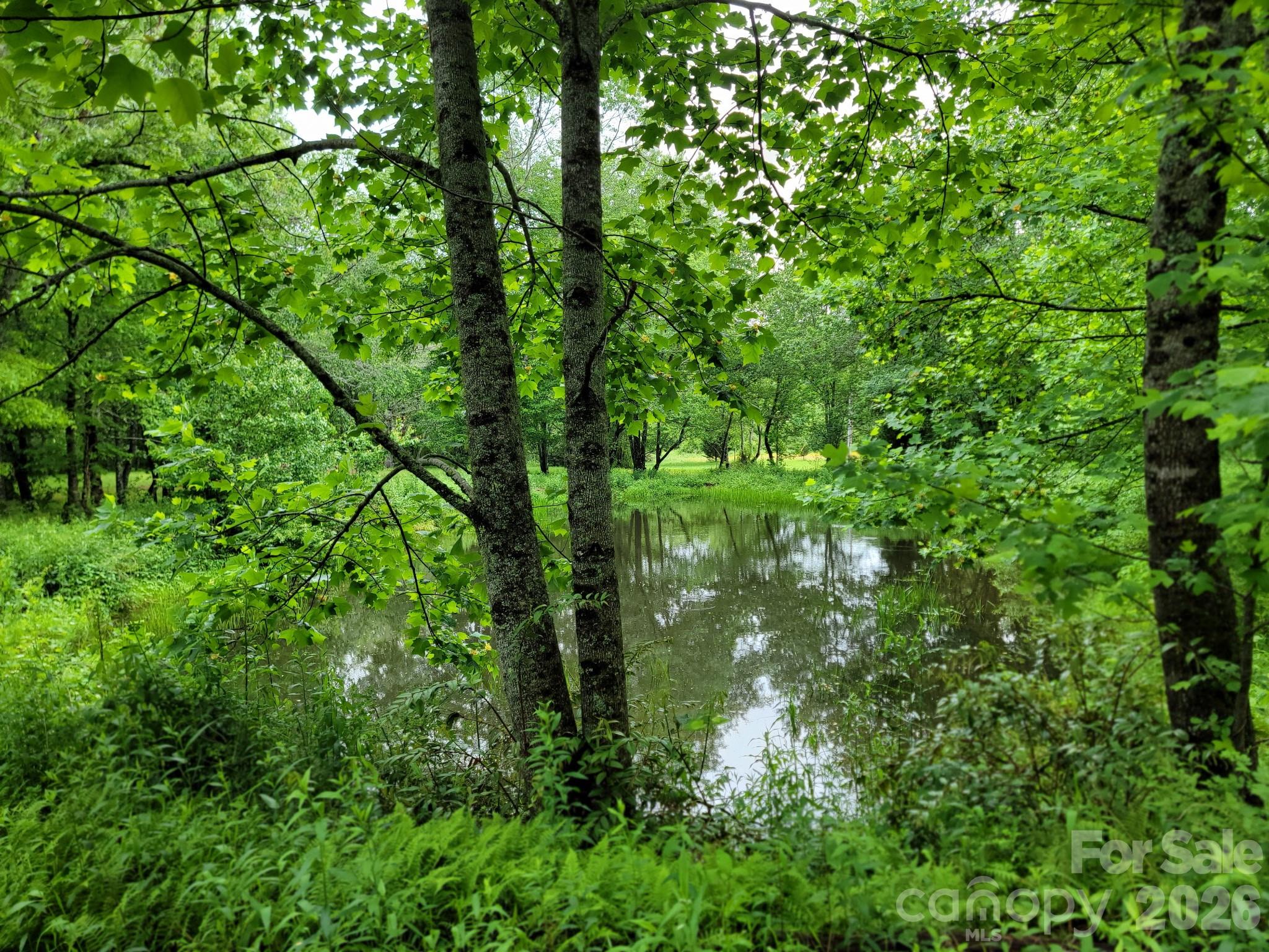 Sweetwater Ridge - Land