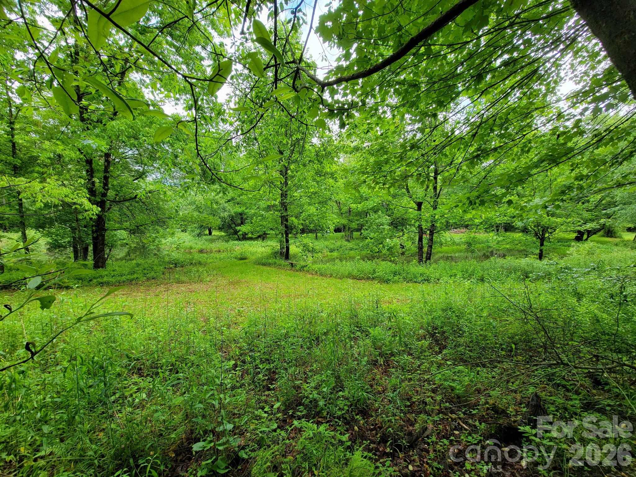 Sweetwater Ridge - Land