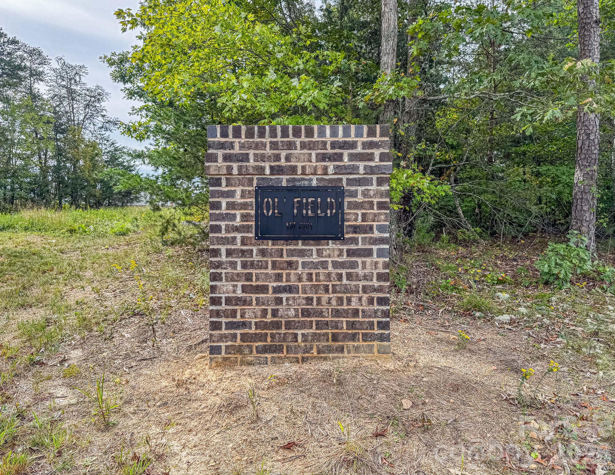 207 Grassy Field Court