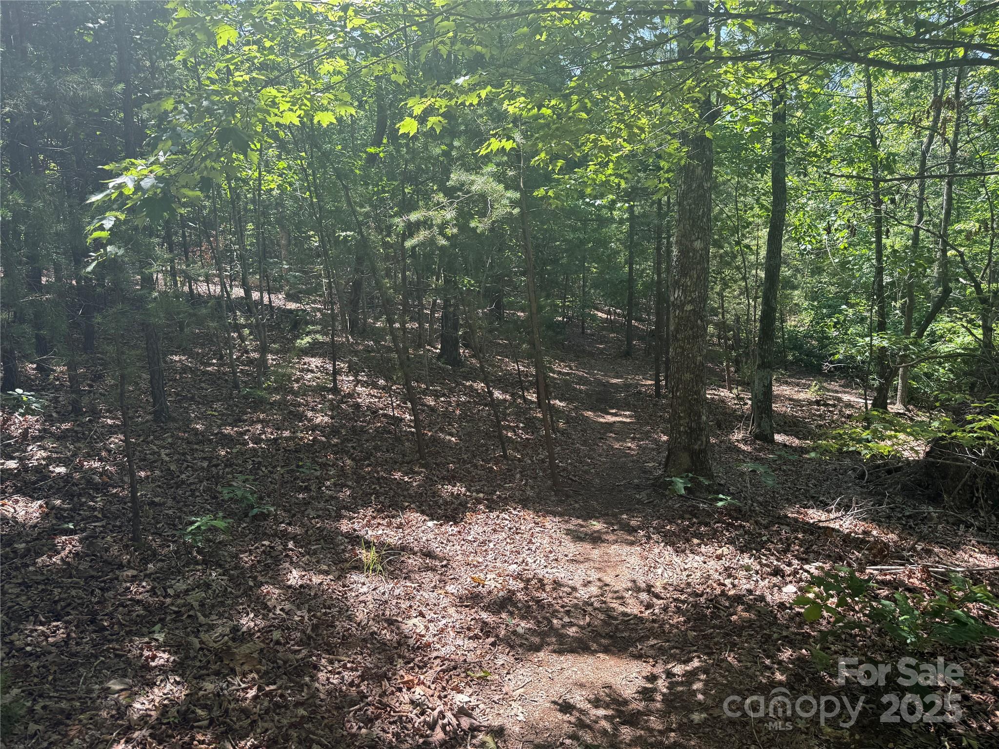 Grandview Peaks - Land