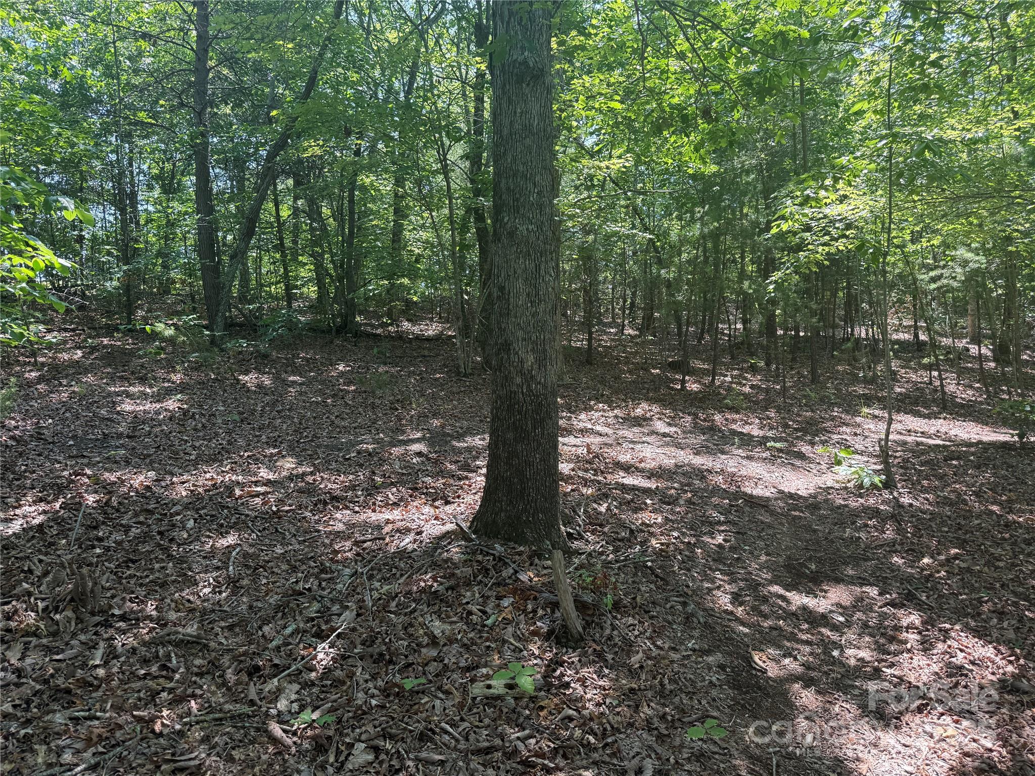 Grandview Peaks - Land