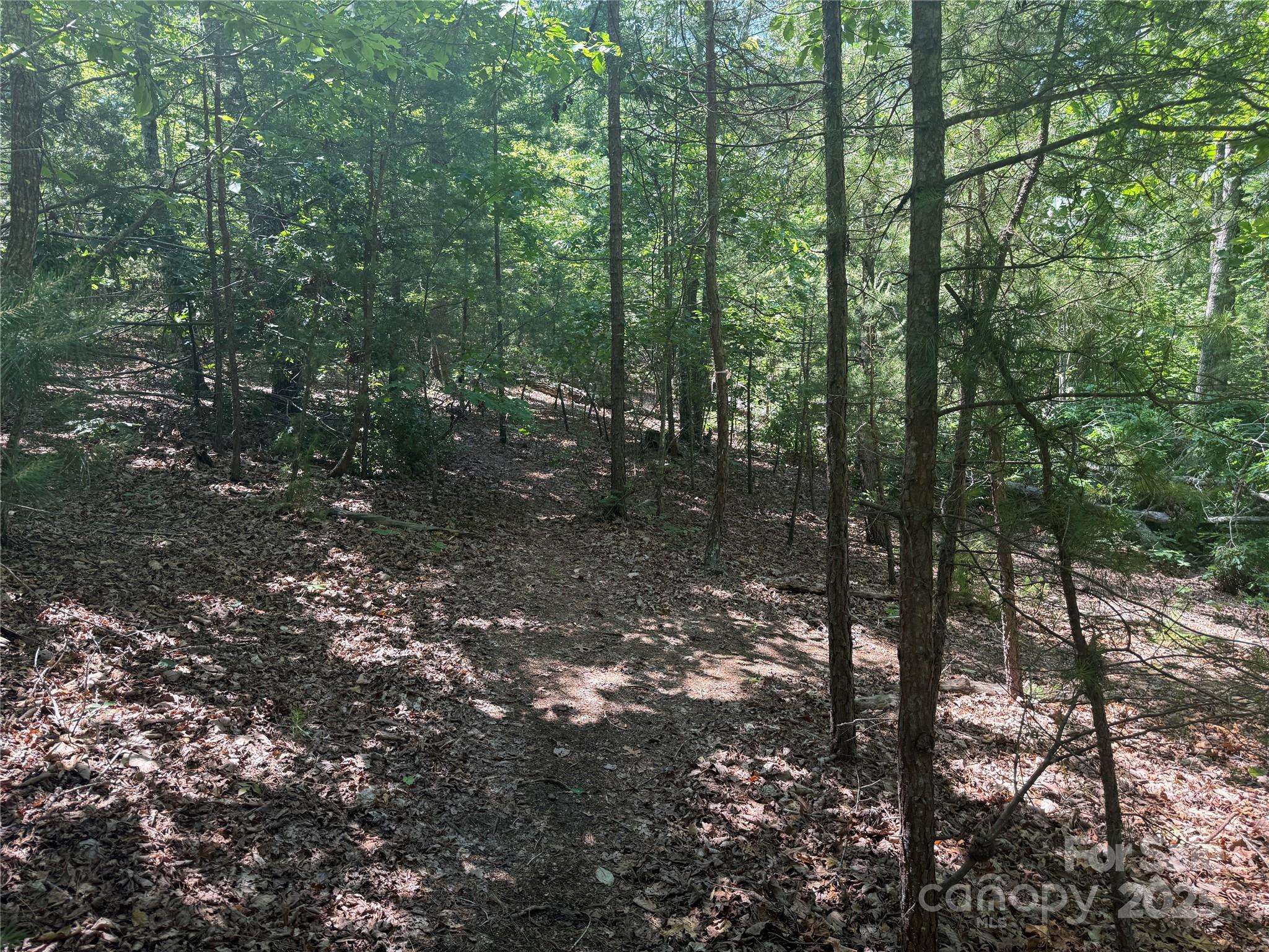 Grandview Peaks - Land