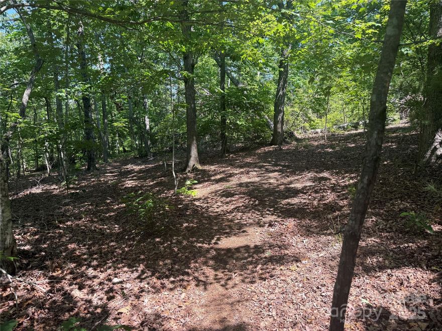 BEAUTIFUL MOUNTAIN SETTING PRICED BELOW TAX VALUE!  With the tranquil sounds of the forest all around, this 2 acre mountain property offers natural seclusion in the active gated neighborhood of Grandview Peaks. Ready for you to build your dream home in the center of this gently sloping 2 acres, surrounded by woods. The slope is uniquely gentle for mountain land, providing an easy setting for a large family retreat or a quaint mountain getaway. Exploring the community is a breeze, w/ gentle wide paved roads & several common areas including a small man-made lake, a white sand beach, picnic shelter and miles of community hiking trails. The community has an active social presence with weekly meetings of a variety of social and hobby groups. There's always a neighbor nearby to lend a hand when you're in need. Just 15-20 minutes away are the charming small towns of Marion & Morganton with a variety of shopping, breweries, wineries, outdoor adventure & entertainment as well as excellent healthcare. Asheville less than an hour and CLT 90 mins.