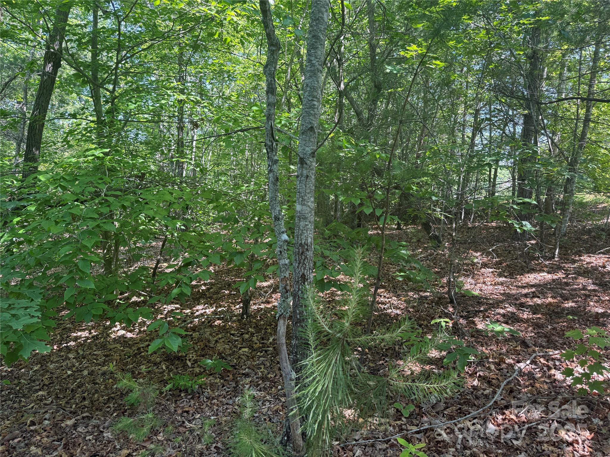 Grandview Peaks - Land