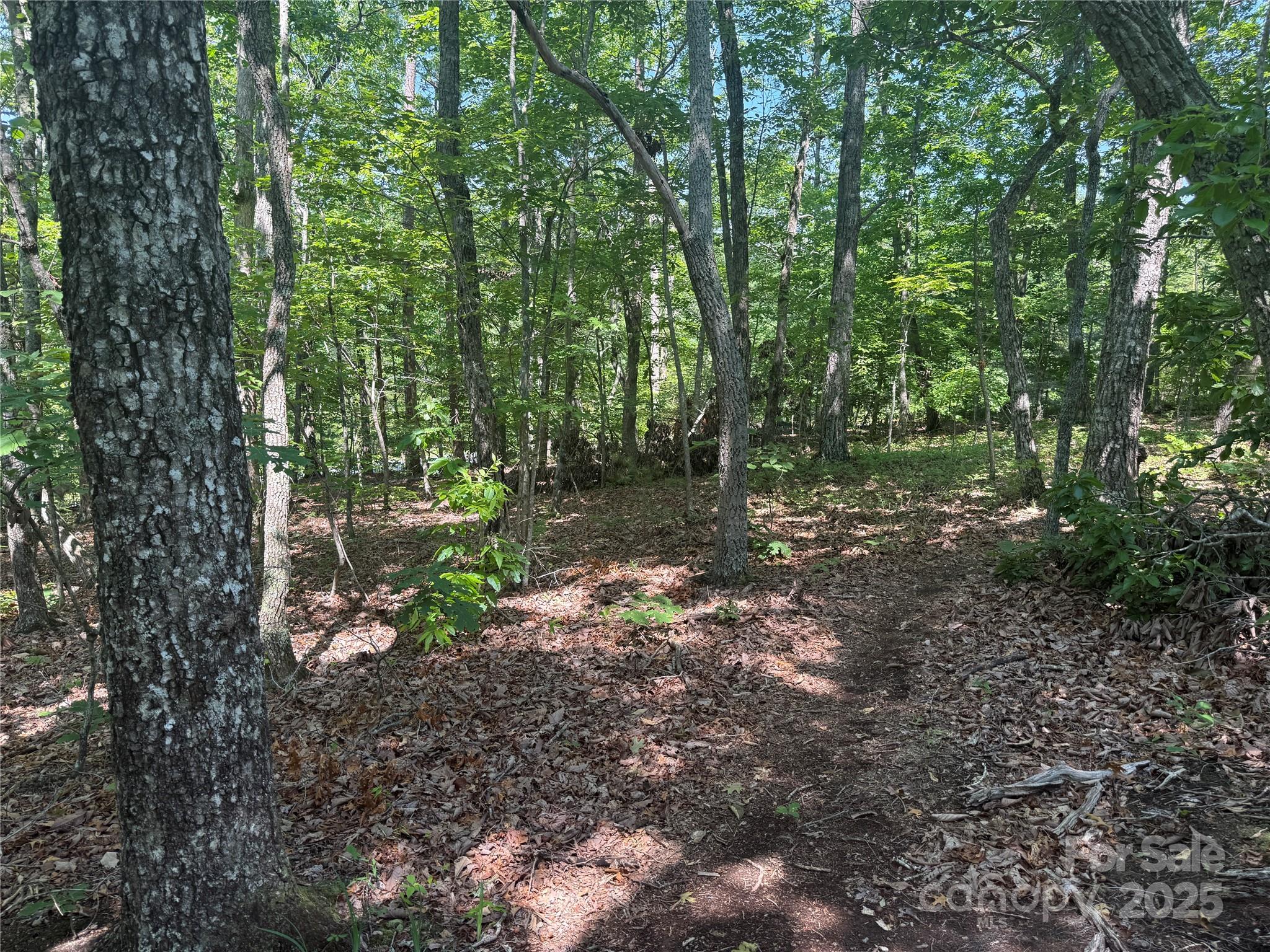 Grandview Peaks - Land