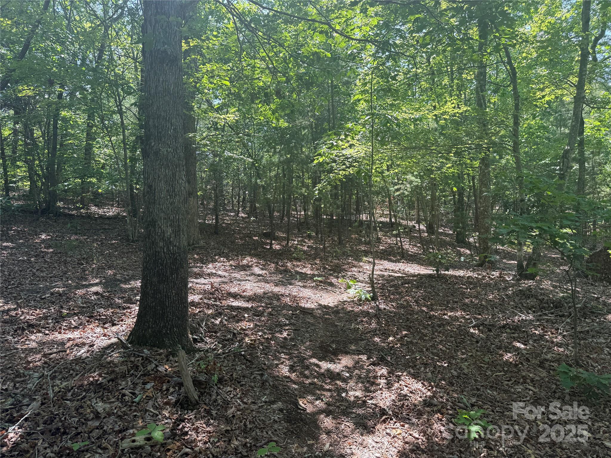 Grandview Peaks - Land