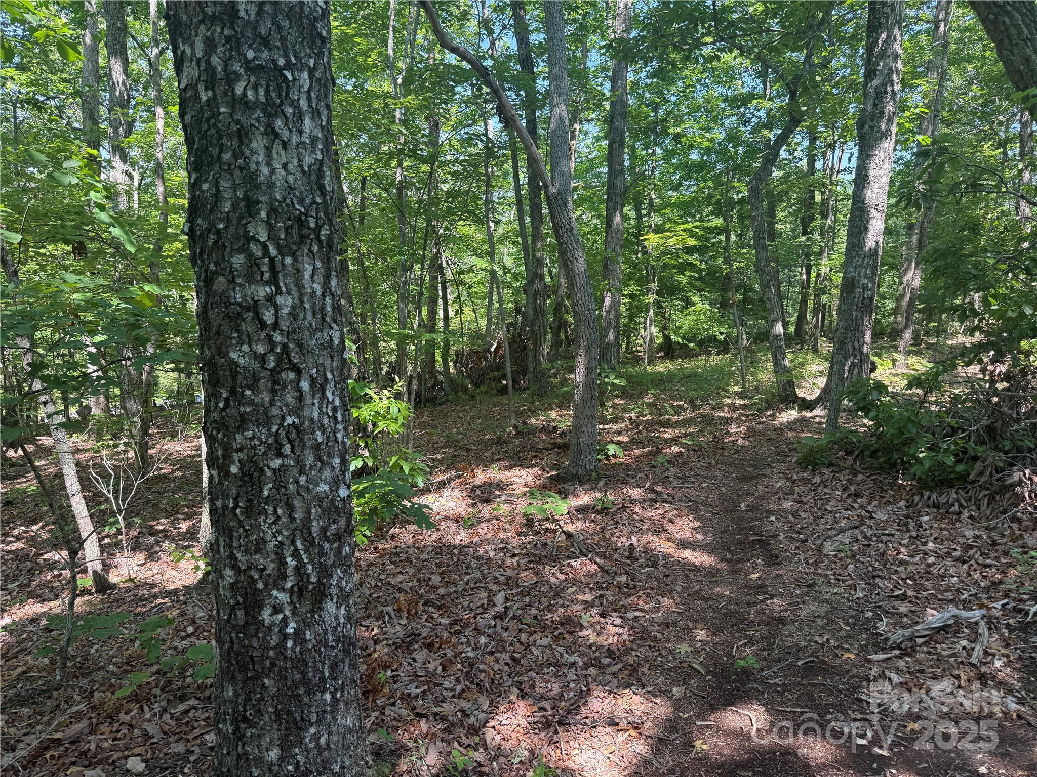 Grandview Peaks - Land