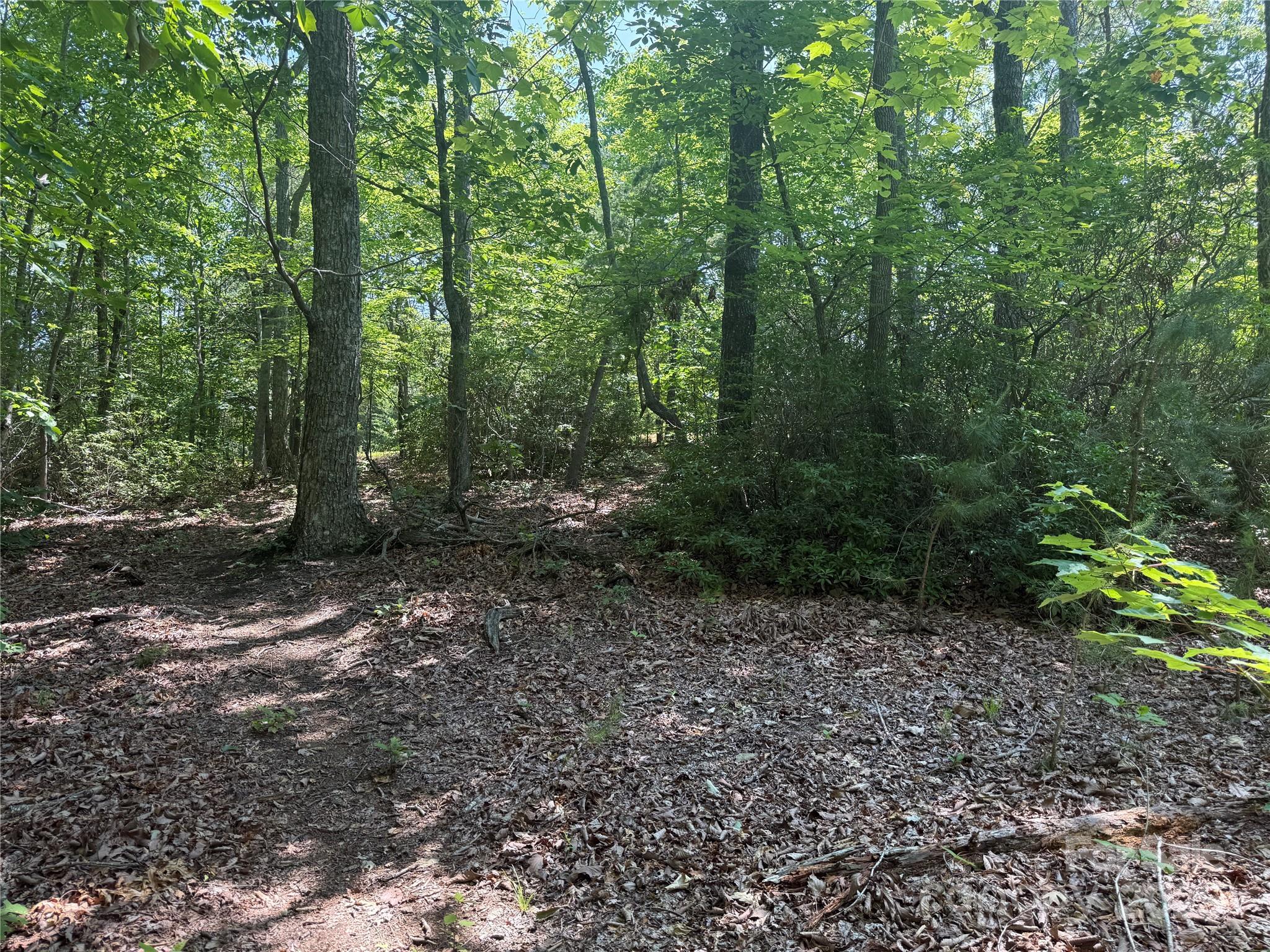 Grandview Peaks - Land