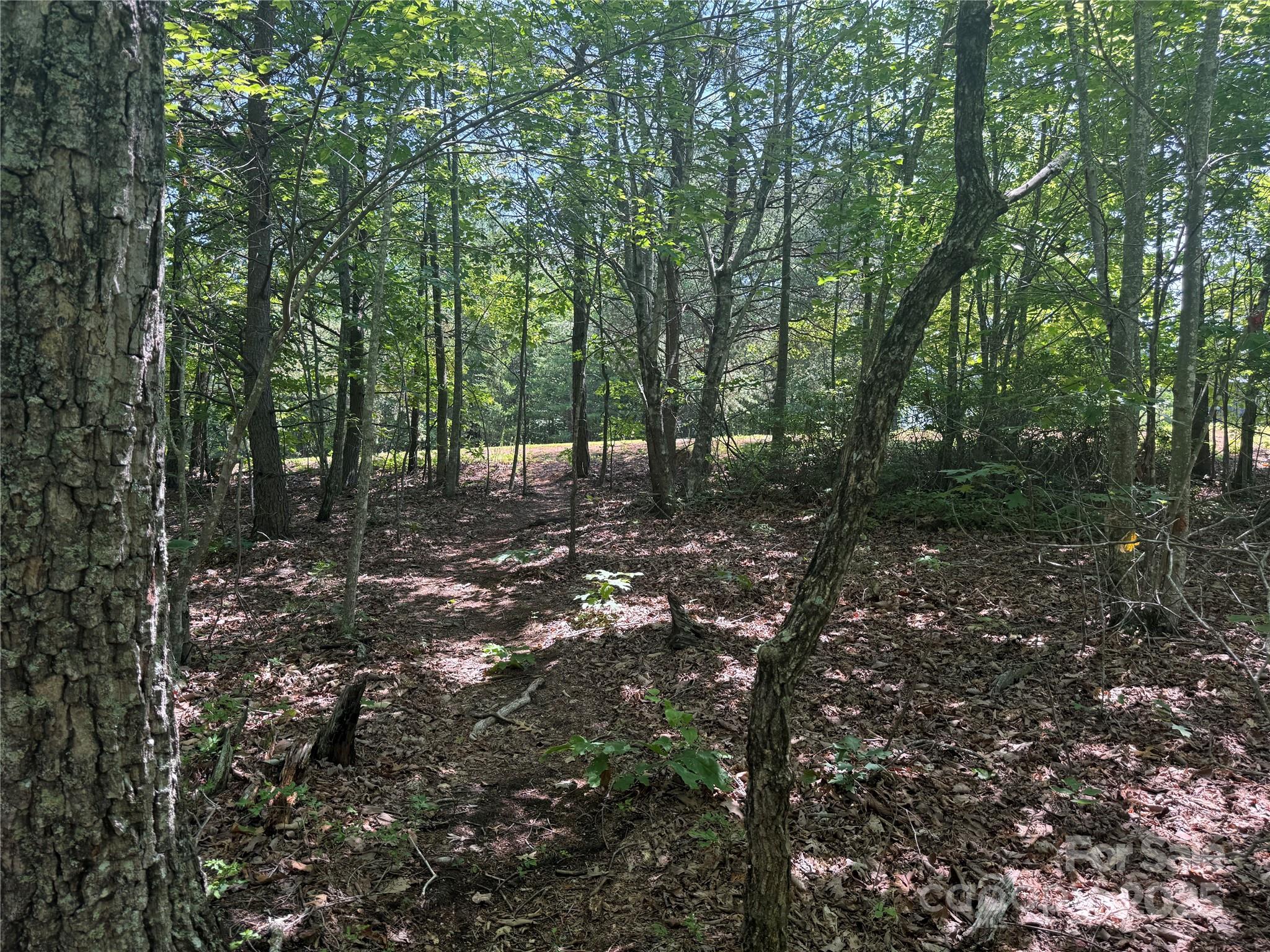 Grandview Peaks - Land