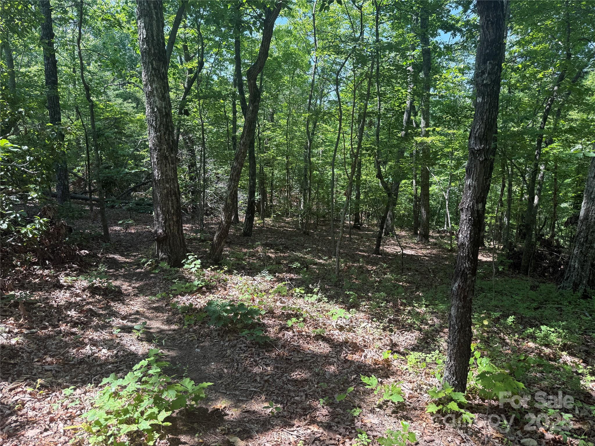 Grandview Peaks - Land