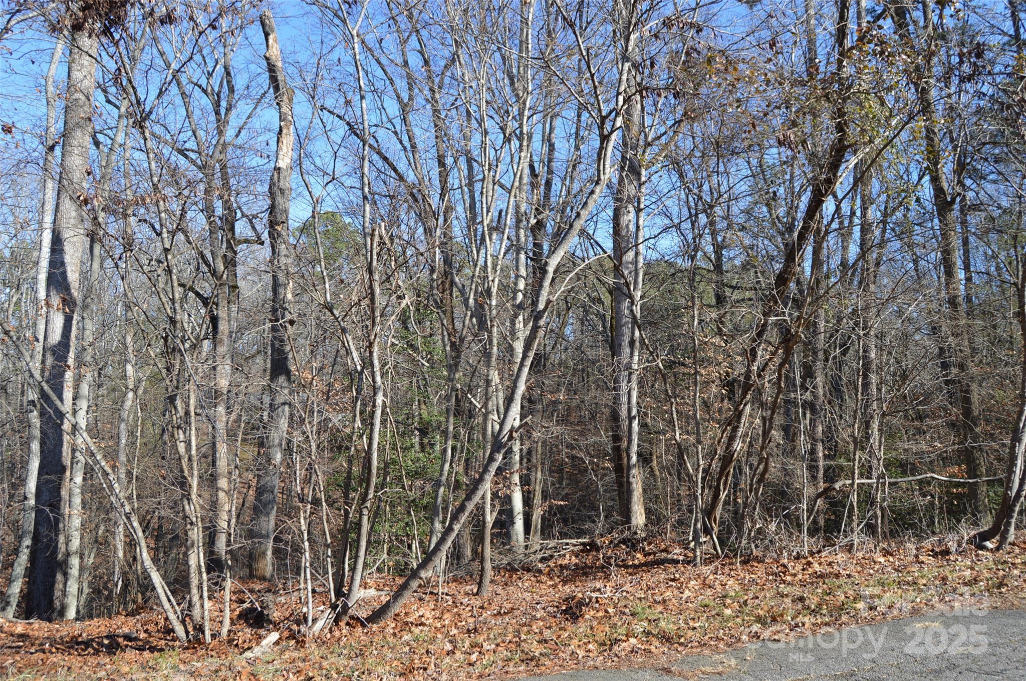 000 Sunset View Lane 58