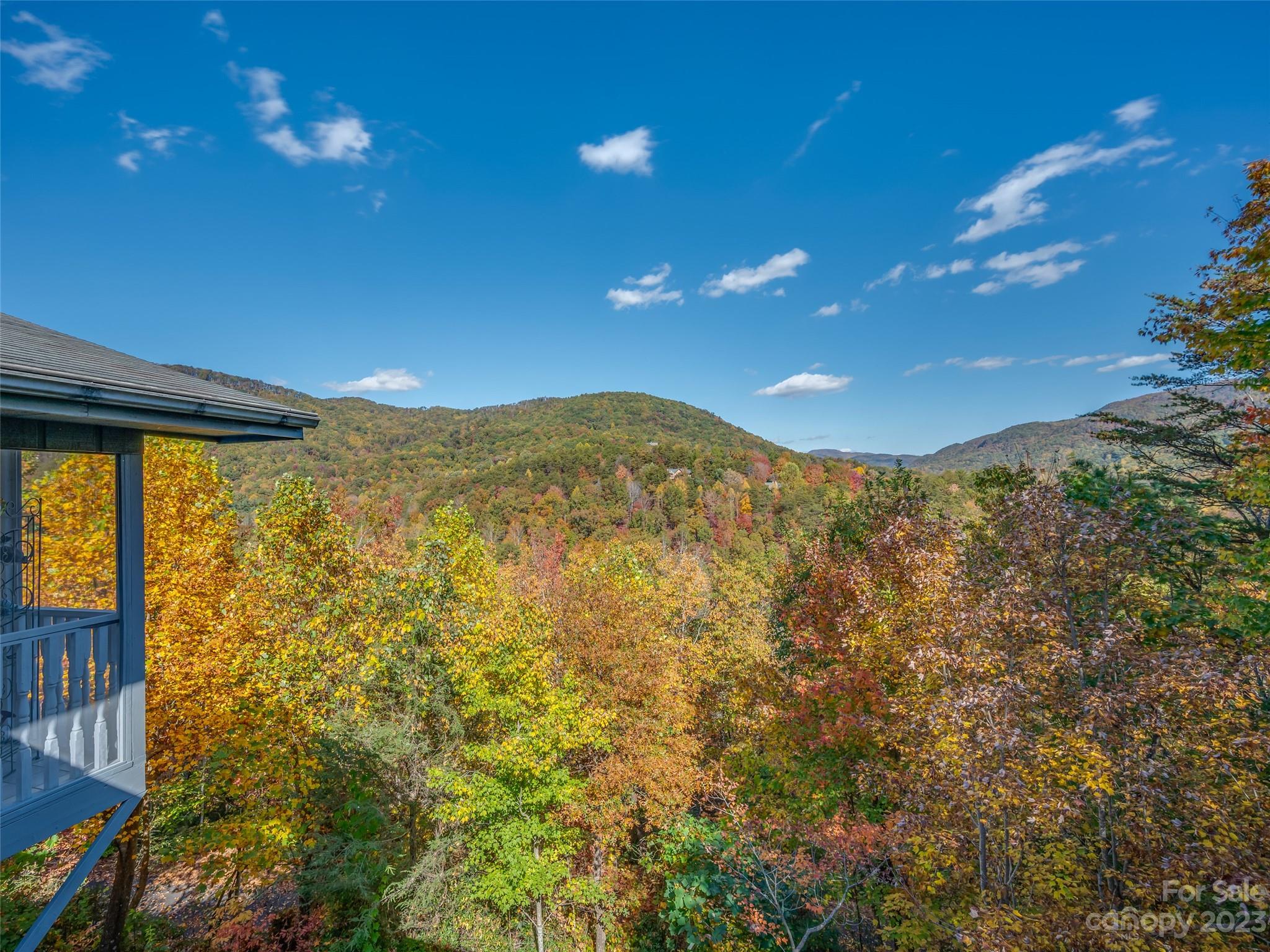 Rumbling Bald on Lake Lure - Residential