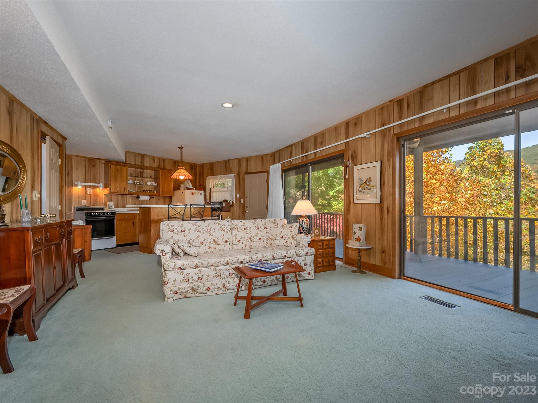 Rumbling Bald on Lake Lure - Residential