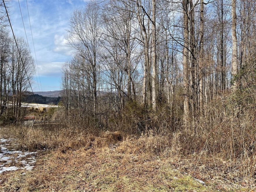 This mountain tract located in greater Wilkes County is diverse enough for privacy but close enough for utilities to be at the property. With power, county water, and high-speed internet at the road, this tract gives you all you need to start a beautiful private estate but have all the luxuries of being in town. This tract is conveniently located just one-half from North Wilkes High School and has road frontage on two roads. With a 7 acre tract on the north side of New Covenant Church Rd with great views and easy access, this allows for a homesite on part of the property and hunting and recreation on the south side of the property. This tract has a beautiful stream meandering through the south portion that is full of deer sign and easy access as well.