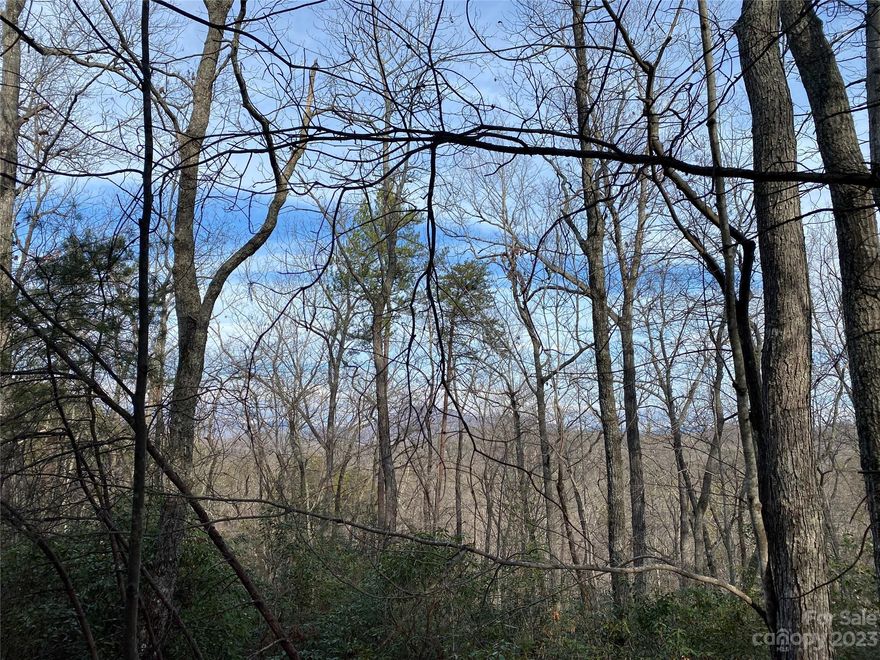 Private and accessible lot to build your permanent or vacation home in Lake Lure. This 8 acres is crisscrossed with game trails and native flora. Incredible potential for mountain and long range views of Bald Mountain, Chimney Rock and the Hickory Nut Gorge. Current owner has easement through RiverBend and across neighboring property for cleared access for a driveway. Property has a cleared potential home site.
