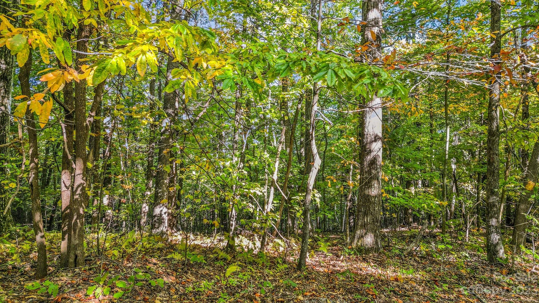 954 River Ridges Road