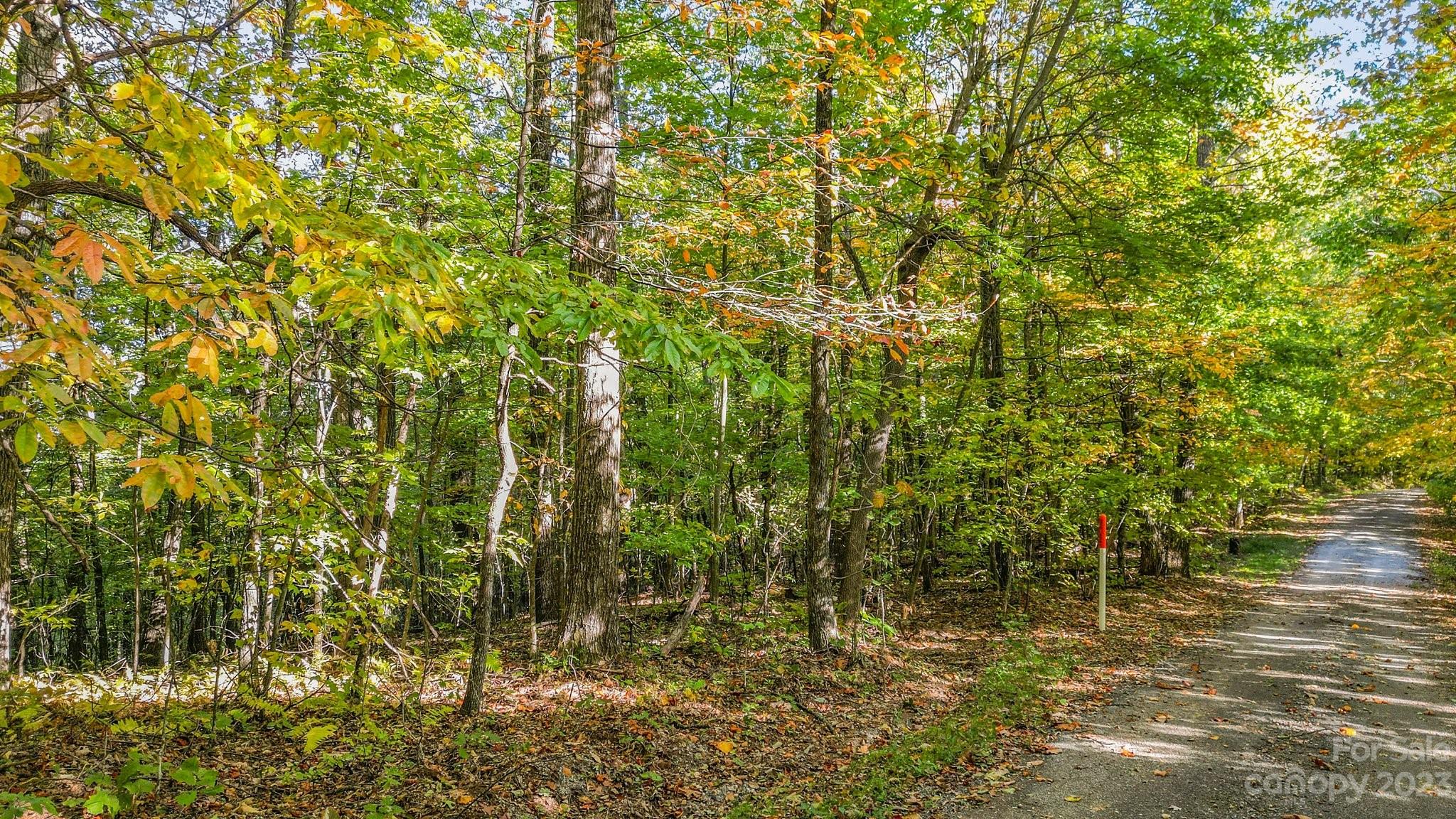 954 River Ridges Road