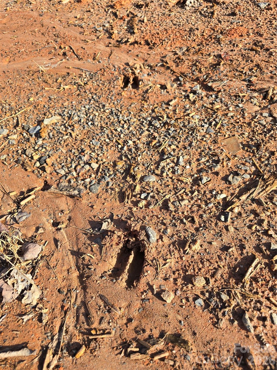 1640 Mcbrayer Springs Road