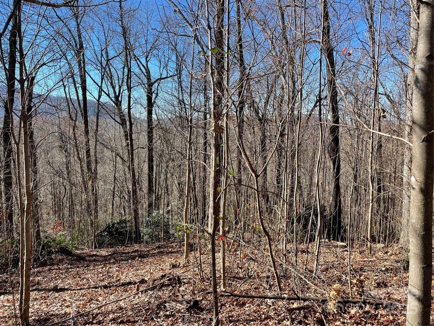 This 4 acre wooded property is conveniently located 30 minutes from Asheville, and convenient to Fairview, Black Mountain, and Lake Lure. It is bordered by Nesbitt Chapel Road on both sides. The cleared building site is 50 feet from the upper road and has a permit for a well and septic drain field as shown in the attachments.  There are spectacular multi-ridgeline distant views in winter which could be year round with minimal tree removal.  Overhead electric power is on neighboring properties on Nesbitt Chapel Road and Rocky Knob Road. It is surrounded by more than 300 acres of other similarly restricted properties which have minimum lot sizes of either 4 acres or 10 acres. This lot can't be subdivided. Neighboring homes are at 206 and 212 Nesbitt Chapel Road.  There are sensible restrictions (see attachments), no POA, and a road maintenance agreement with twice yearly assessments which keeps the road in excellent condition. No road assessments are due until development begins.
