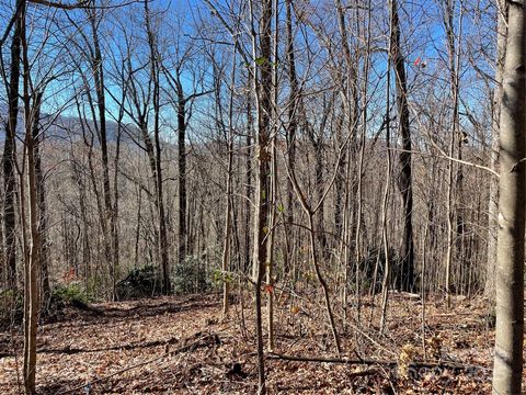 9999-1 Nesbitt Chapel Road Fairview NC 28730