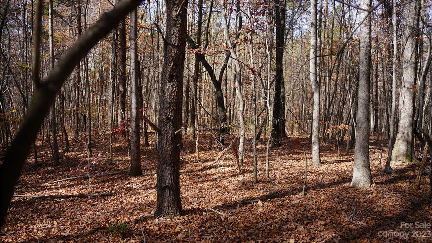 Discover the perfect canvas for your dreams on this 6.84-acre building lot in Dallas, NC. Nestled in a private cul de sac, this property offers tranquility and seclusion. Embrace the best of both worlds with its rural setting while being just minutes away from Hwy 321, providing easy access to all amenities. The wooded landscape adds a touch of nature's serenity. Please note, no manufactured homes are allowed, and there is no sewer or water on site, allowing you the freedom to tailor this blank slate to your vision. Don't miss this opportunity to create your private retreat in this secluded yet conveniently located space.