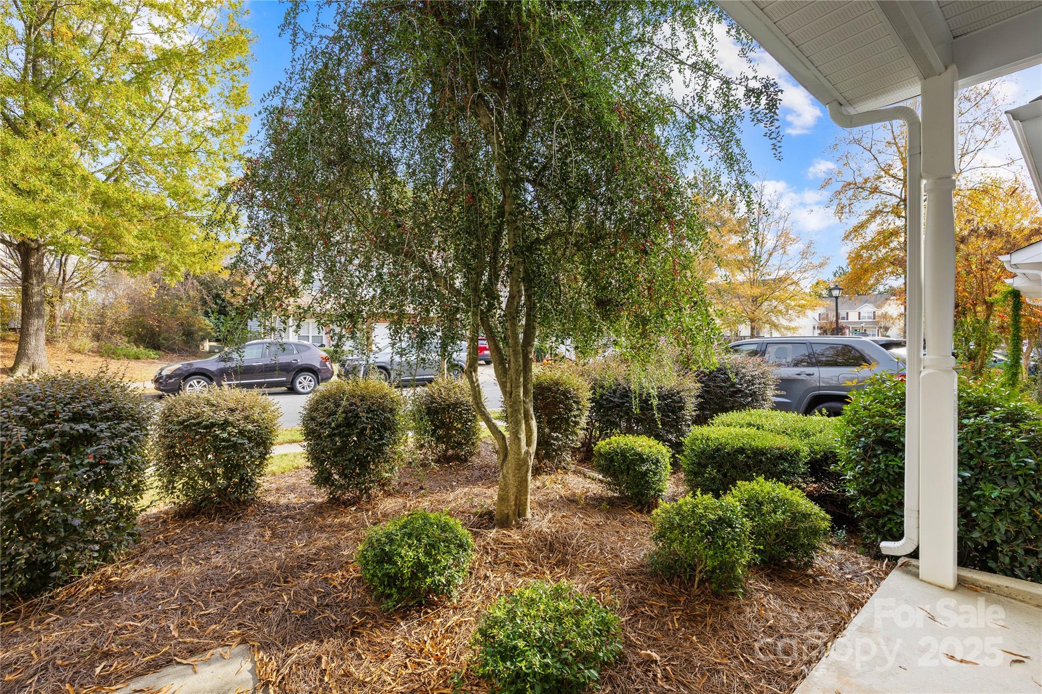 11034 Dixie Hills Drive