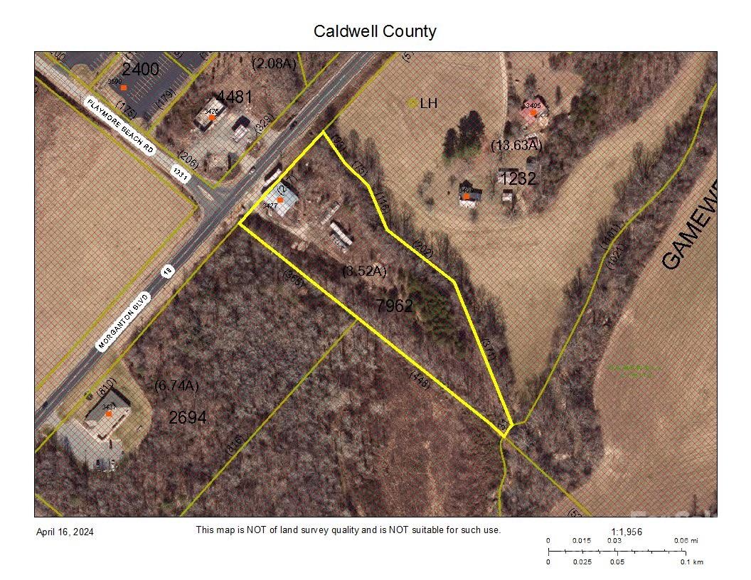 Main image without alt text