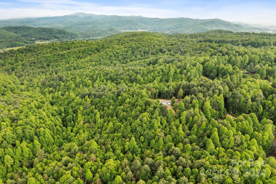 This is an excellent opportunity for your next build. Beautiful wooded acreage is just off of Jeter Mountain Road, south of Etowah. This 1.60-acre lot is waiting for your dream build. The lot ranges from level to sloping and exudes privacy. Additional acreage may be available.