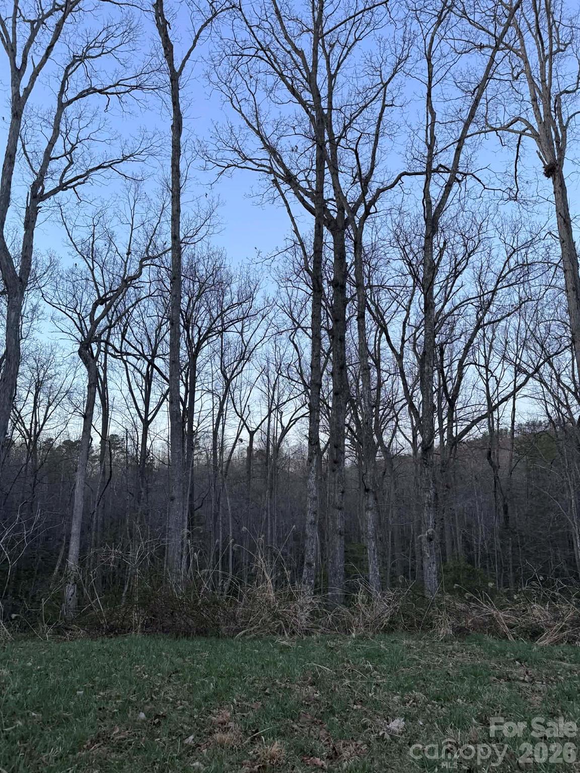 Photo 1 of 9 — 0000 Berea Avenue, Connelly Springs, NC 28612