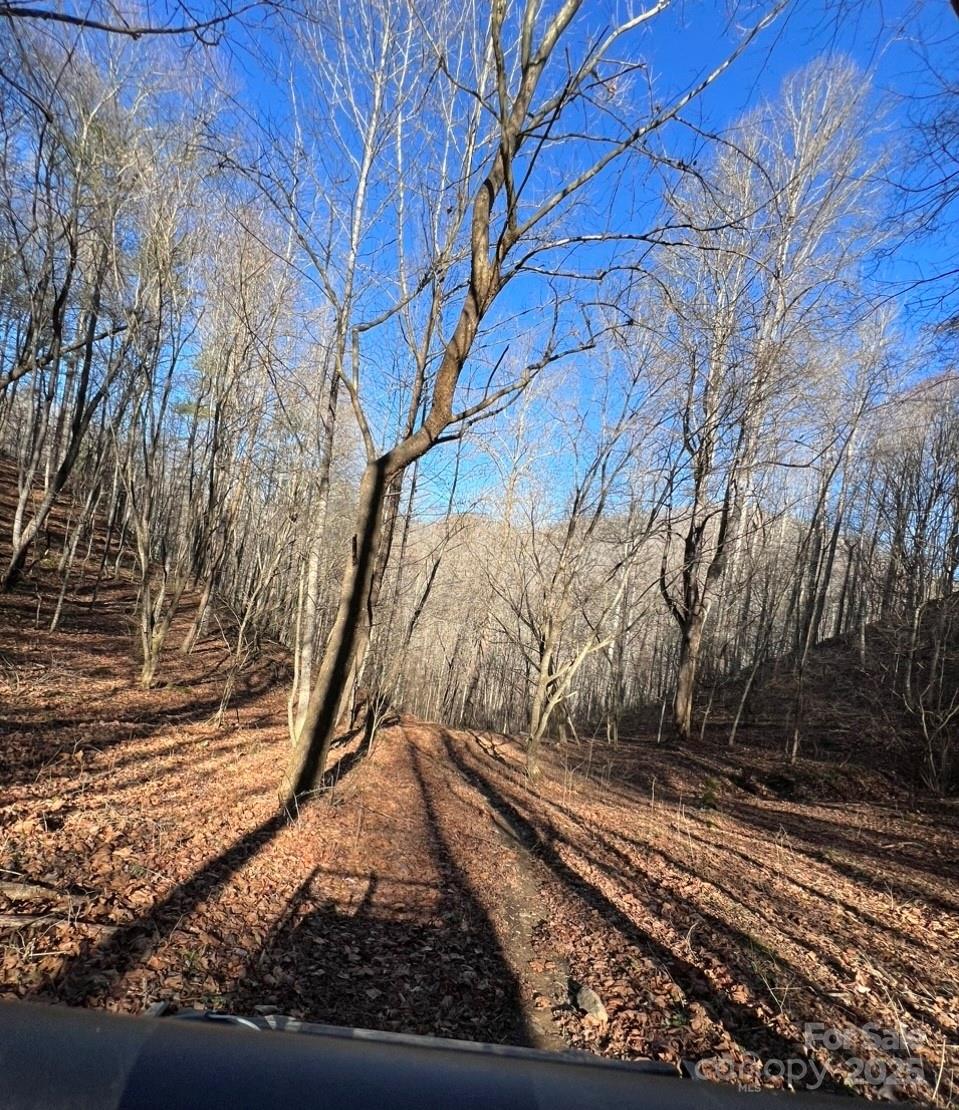 12982 US 19W Highway