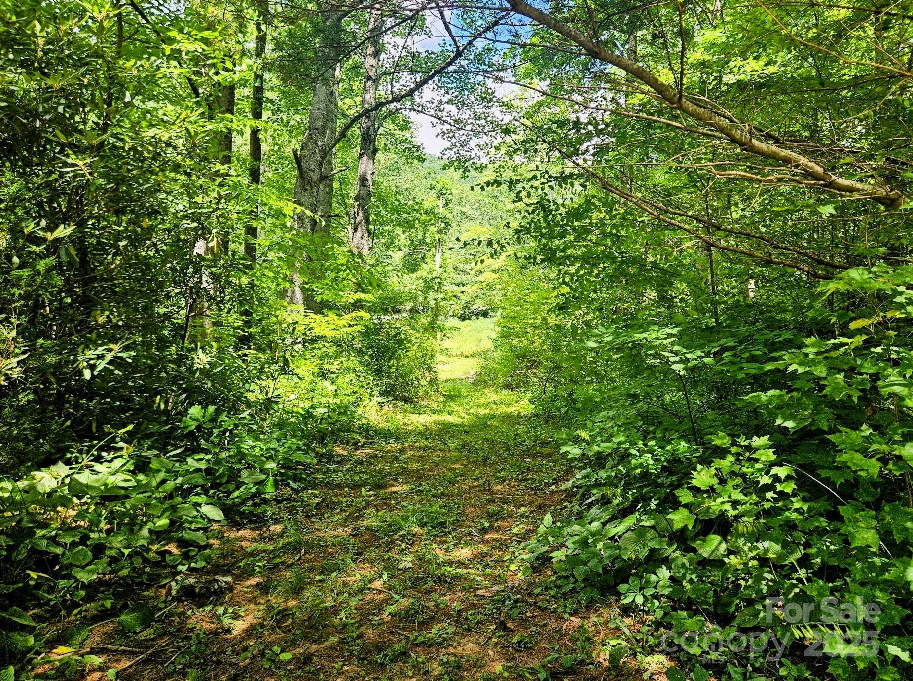 1450 White Oak Creek Road