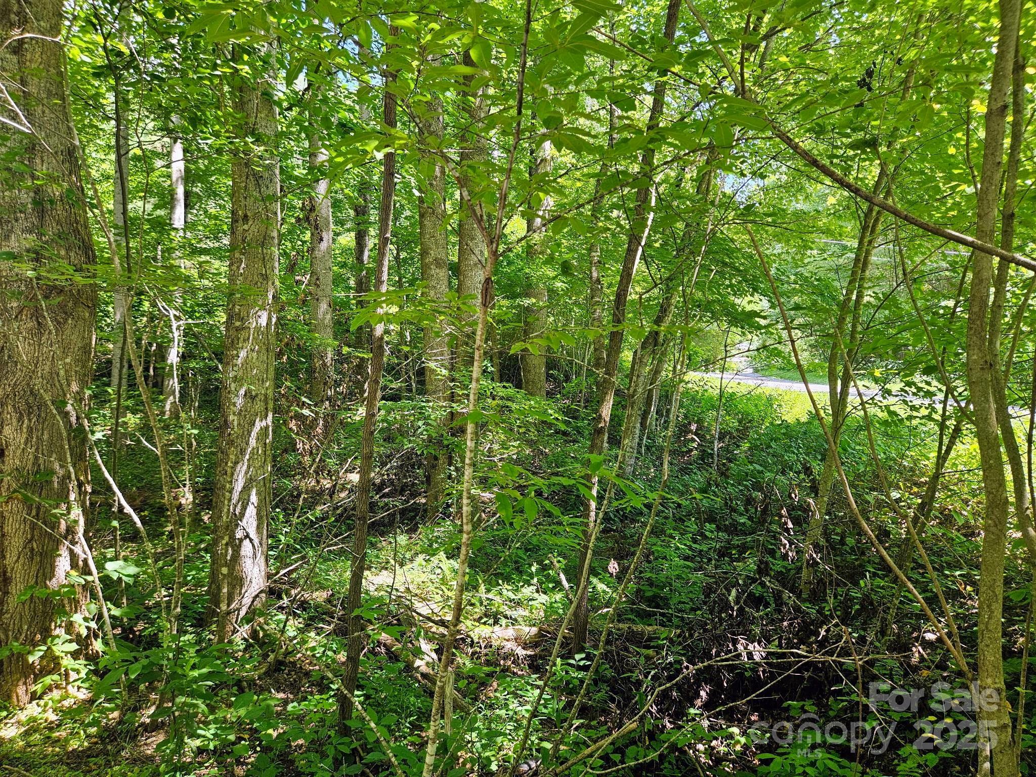 1450 White Oak Creek Road