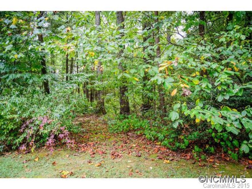 Nice level lot full of a variety of trees and rhododendron. Established neighborhood is quiet and in a great location, close to Downtown Historic Hendersonville, dining and shopping. Easy connection to city water, electric and natural gas. Located in private cul-de-sac