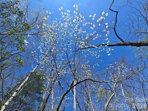 284 Oriole Drive Lake Lure NC 28746