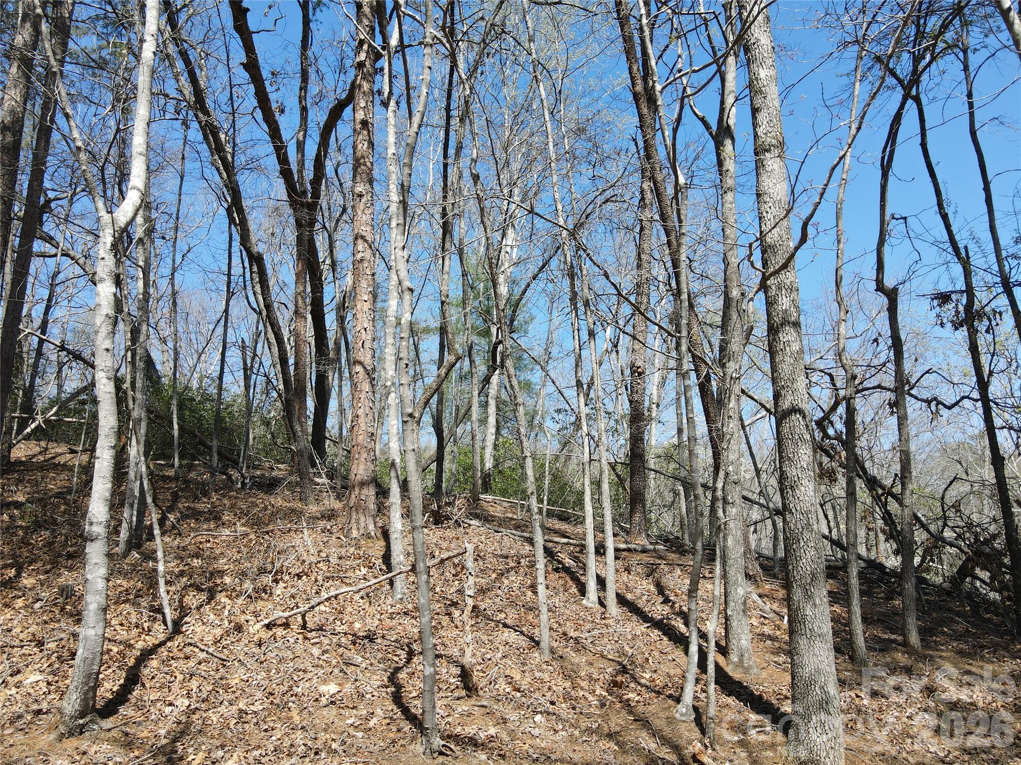 Riverbend at Lake Lure - Land