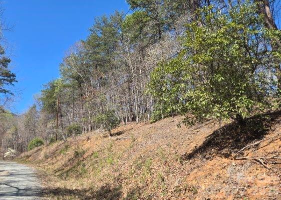 Riverbend at Lake Lure - Land