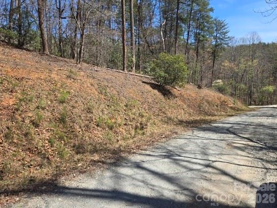 Riverbend at Lake Lure - Land