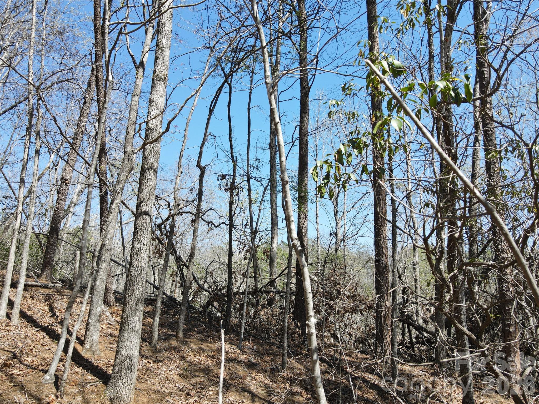 Riverbend at Lake Lure - Land