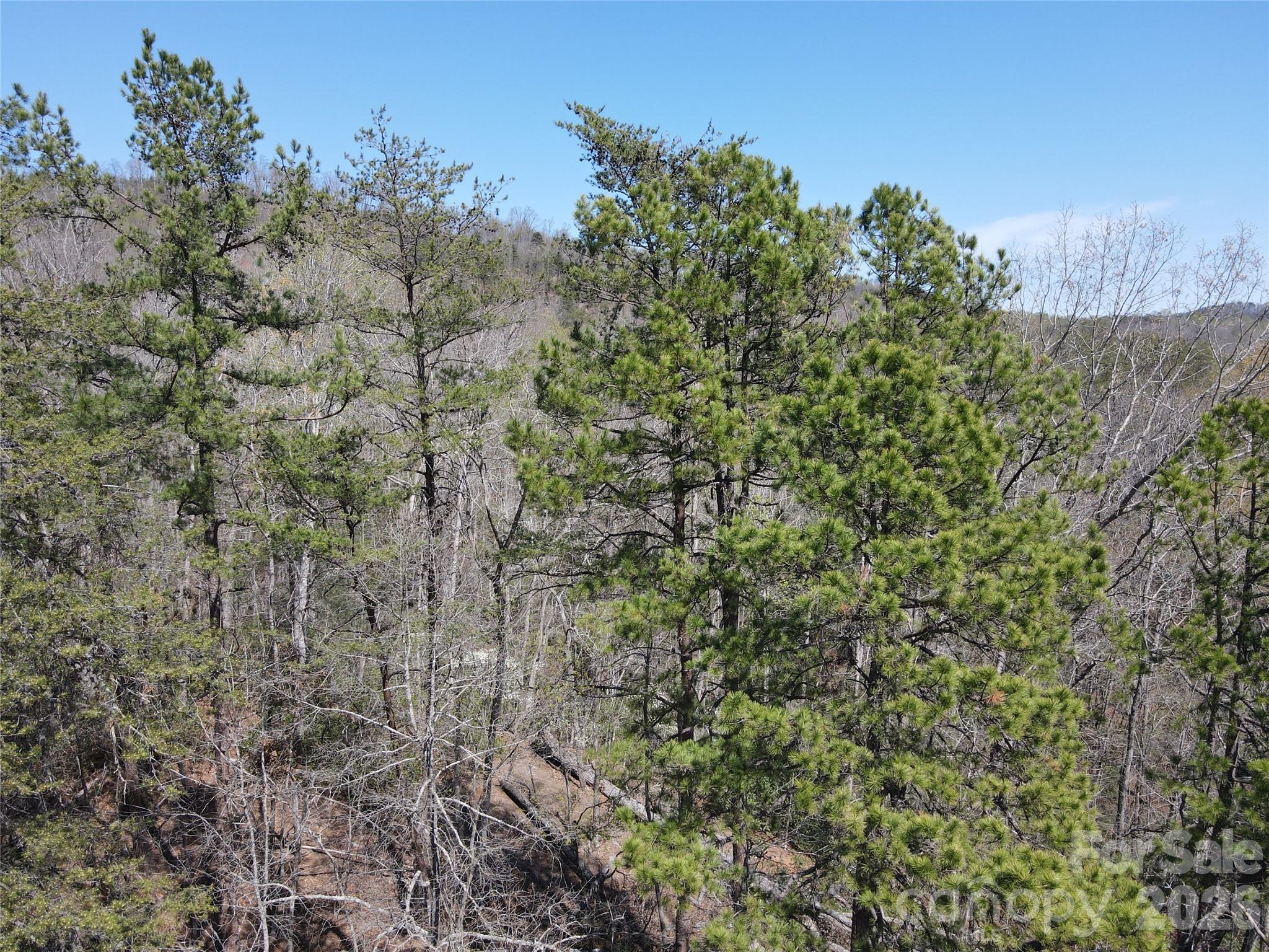 Riverbend at Lake Lure - Land