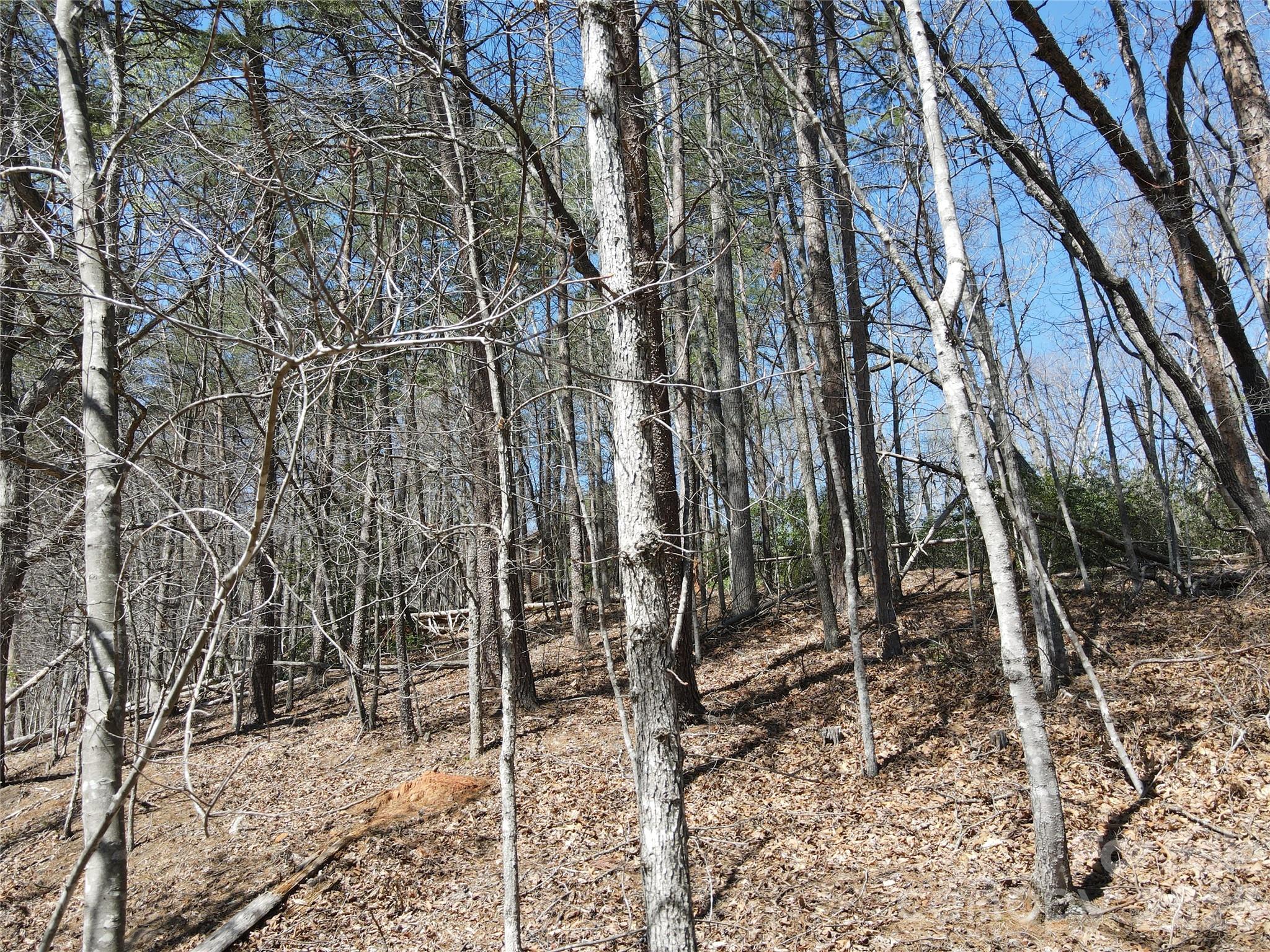 Riverbend at Lake Lure - Land