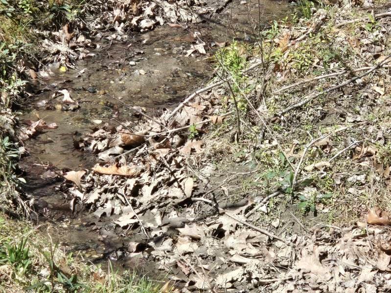 Riverbend at Lake Lure - Land