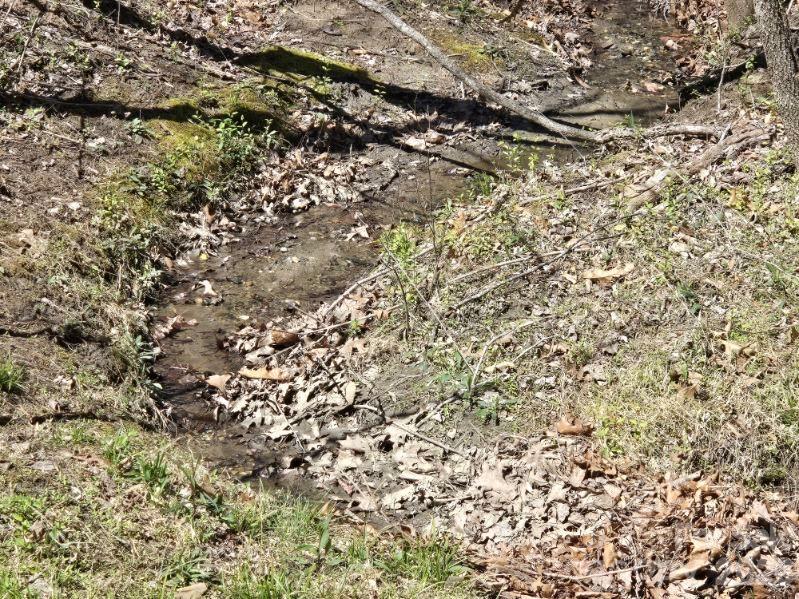 Riverbend at Lake Lure - Land