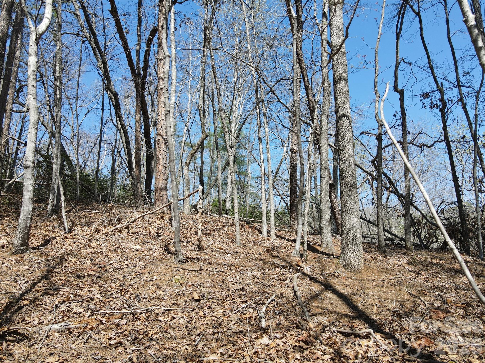 Riverbend at Lake Lure - Land